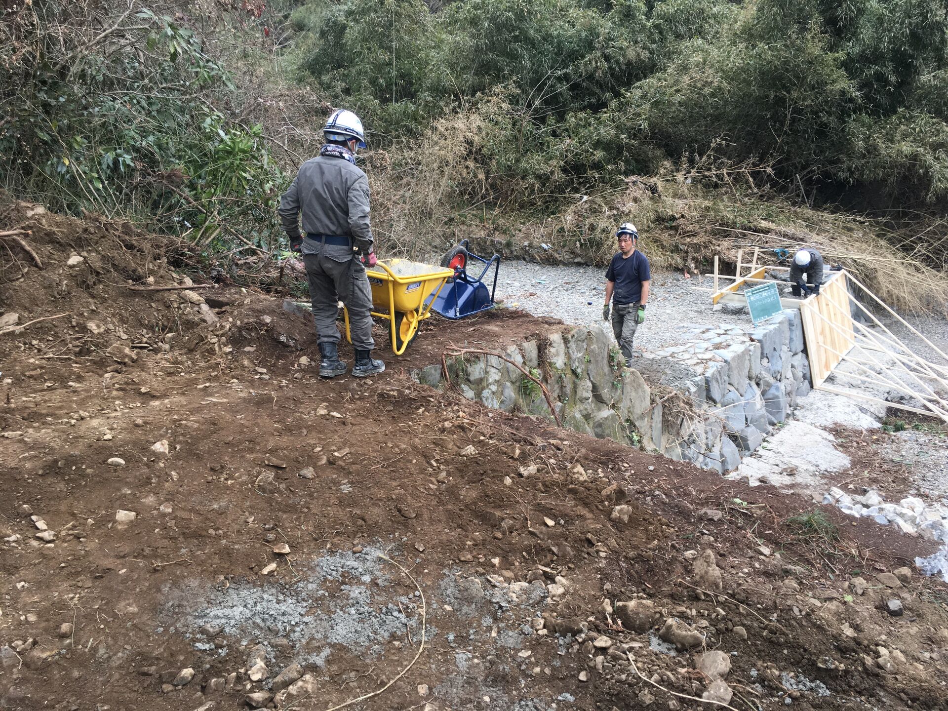 ダウンロード (1)